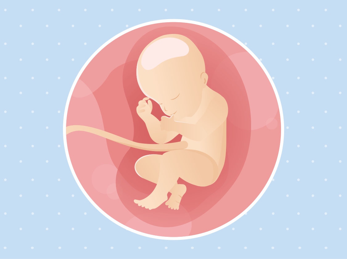 31 Week Pregnant Baby Development And Diet Nestlé Babyandme