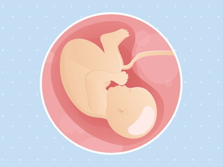 pregnancy-belly-fetal-development-week-40