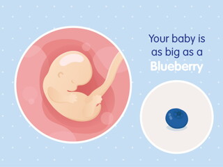 pregnancy-belly-fetal-development-week-7