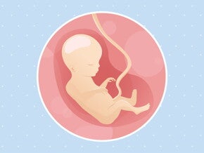pregnancy-belly-fetal-development-week-18 pregnancy-belly-fetal-development-week-18