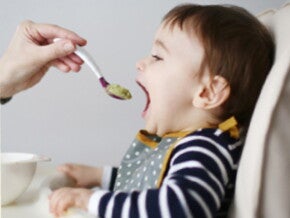 introducing-solid-foods introducing-solid-foods